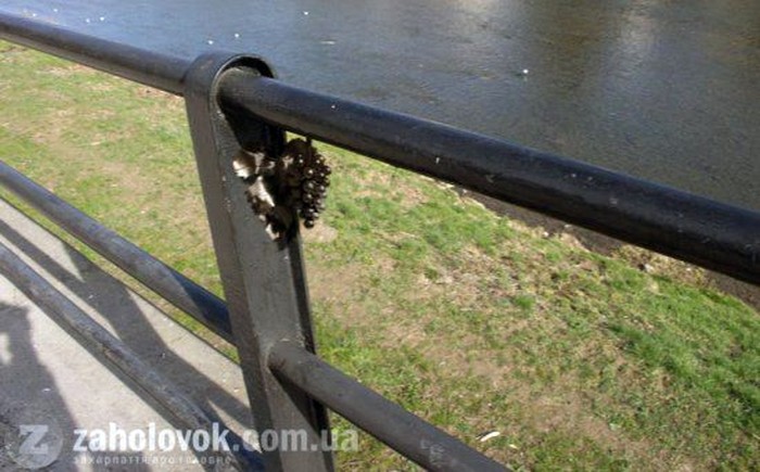 міні-скульптура гронам винограду в Ужгороді фото