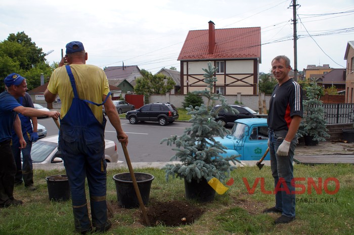 вартість нових ялинок біля Вінницької міськради фото