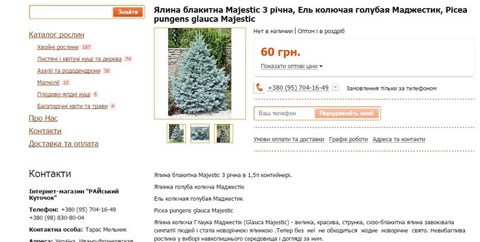 вартість нових ялинок біля Вінницької міськради фото