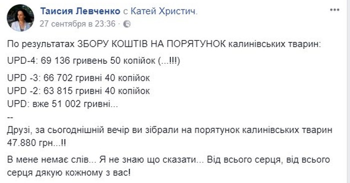 гроші на безпритульних тварин фото
