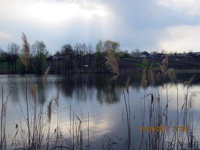 річка Лиса Липа фото