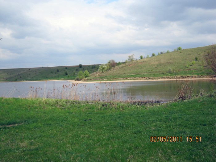 річка Лиса Липа фото