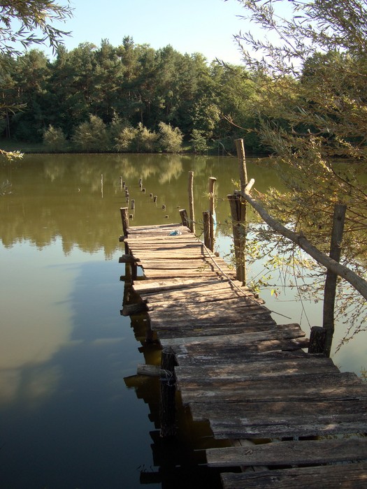 річка Лиса Липа фото