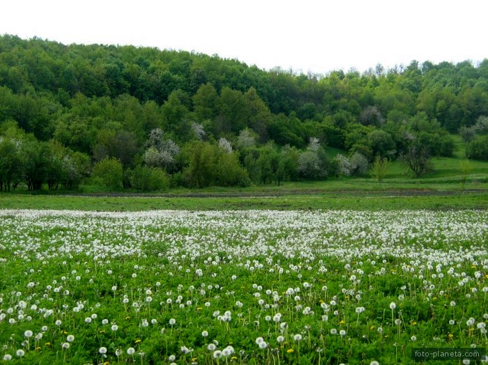 Бондурівка фото