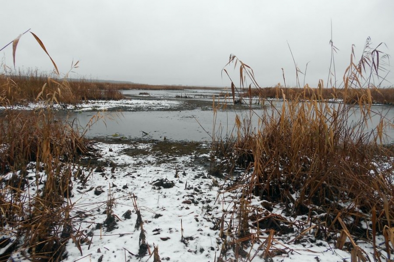 Рівень води  &laquo;Згарському&raquo; заказнику відповідає нормі
