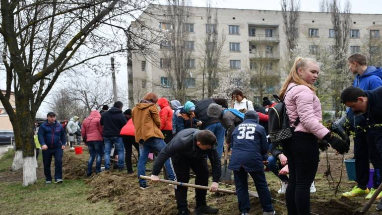 На Вінниччині школярі та студенти висадили дерева