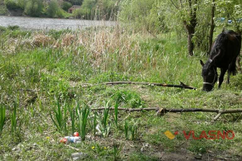 півострів Бригантина у Вінниці фото