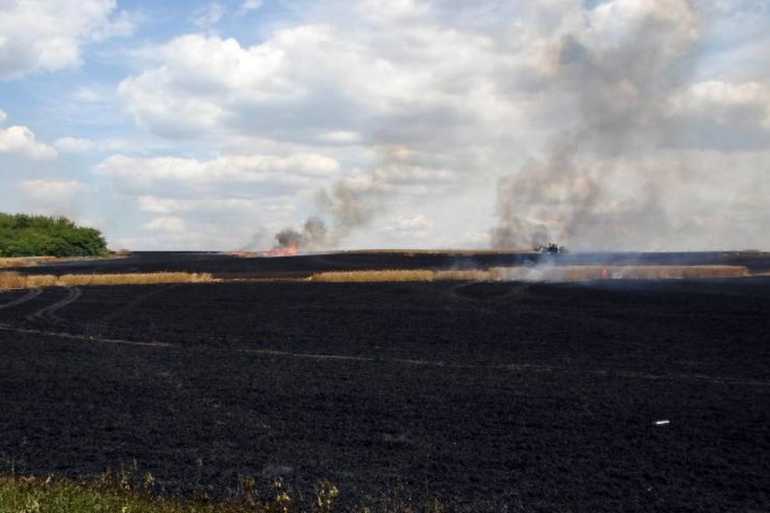 згоріло пшеничне поле на Донеччині фото