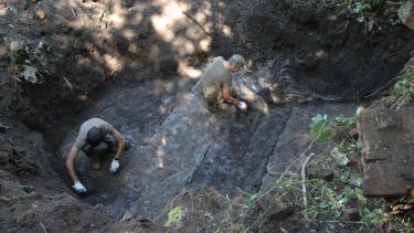 У Вінниці знайдено, можливо, найбільше військове кладовище вояків УНР та УГА