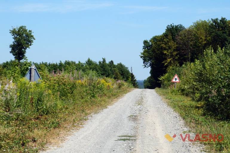 дорожні знаки біля села Гущинці фото