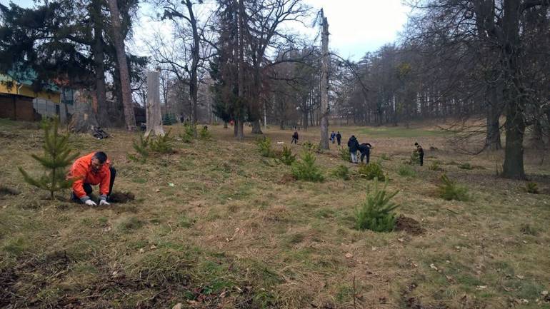 Вінничани посадили 100 дерев у Пятничанському парку