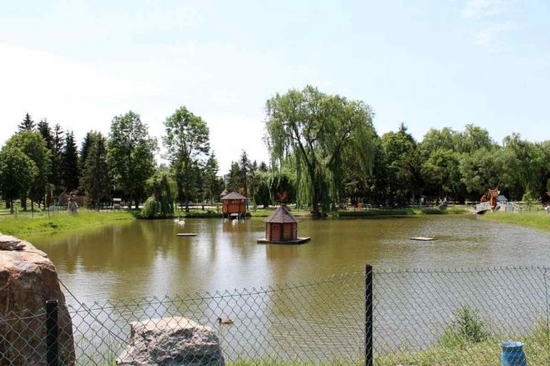 Зелені алеї, ковані фігури, Artbeton, штучні водоспади: як планують облаштувати Хмільницький міський парк