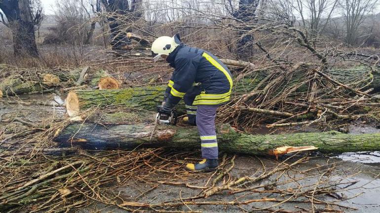 Через сильний вітер на Вінниччині вночі кілька дерев впало на дорогу