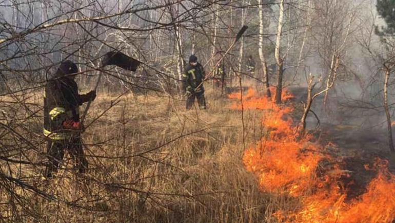 Ситуація із пожежами у Чорнобилі та на Житомирщині нормалізується,  &ndash; ДСНС
