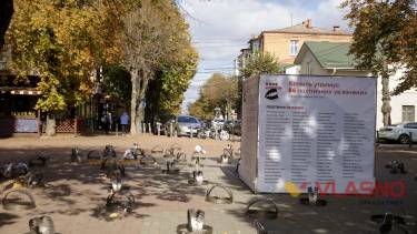 У центрі Вінниці розставили близько сотні капканів (ФОТО)