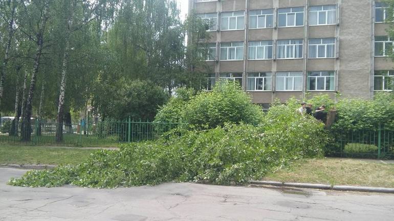 Шквальний вітер неабияк налякав вінничан