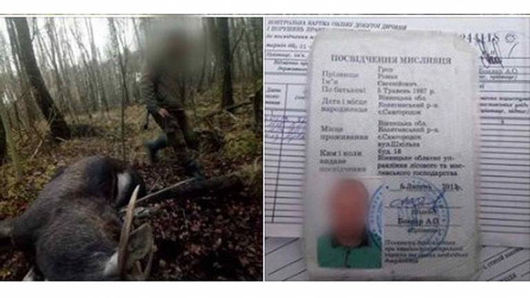 Мисливець з Вінниччини застрелив червонокнижну тварину