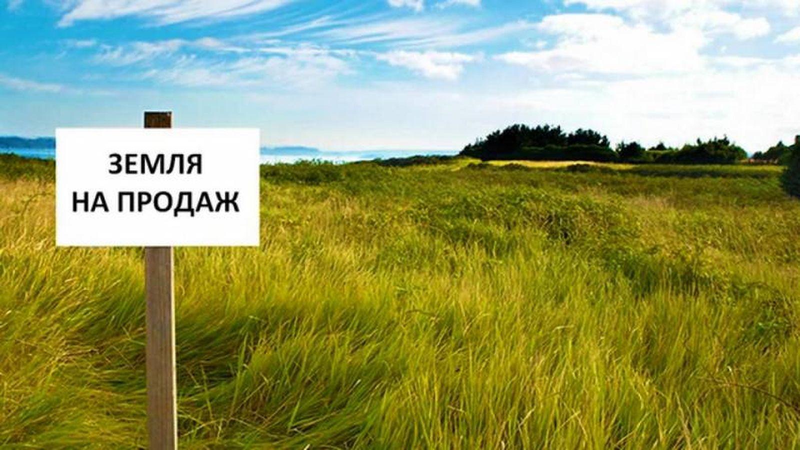 Сільськогосподарську землю в Україні продаватимуть за 50-60 тисяч гривень за гектар