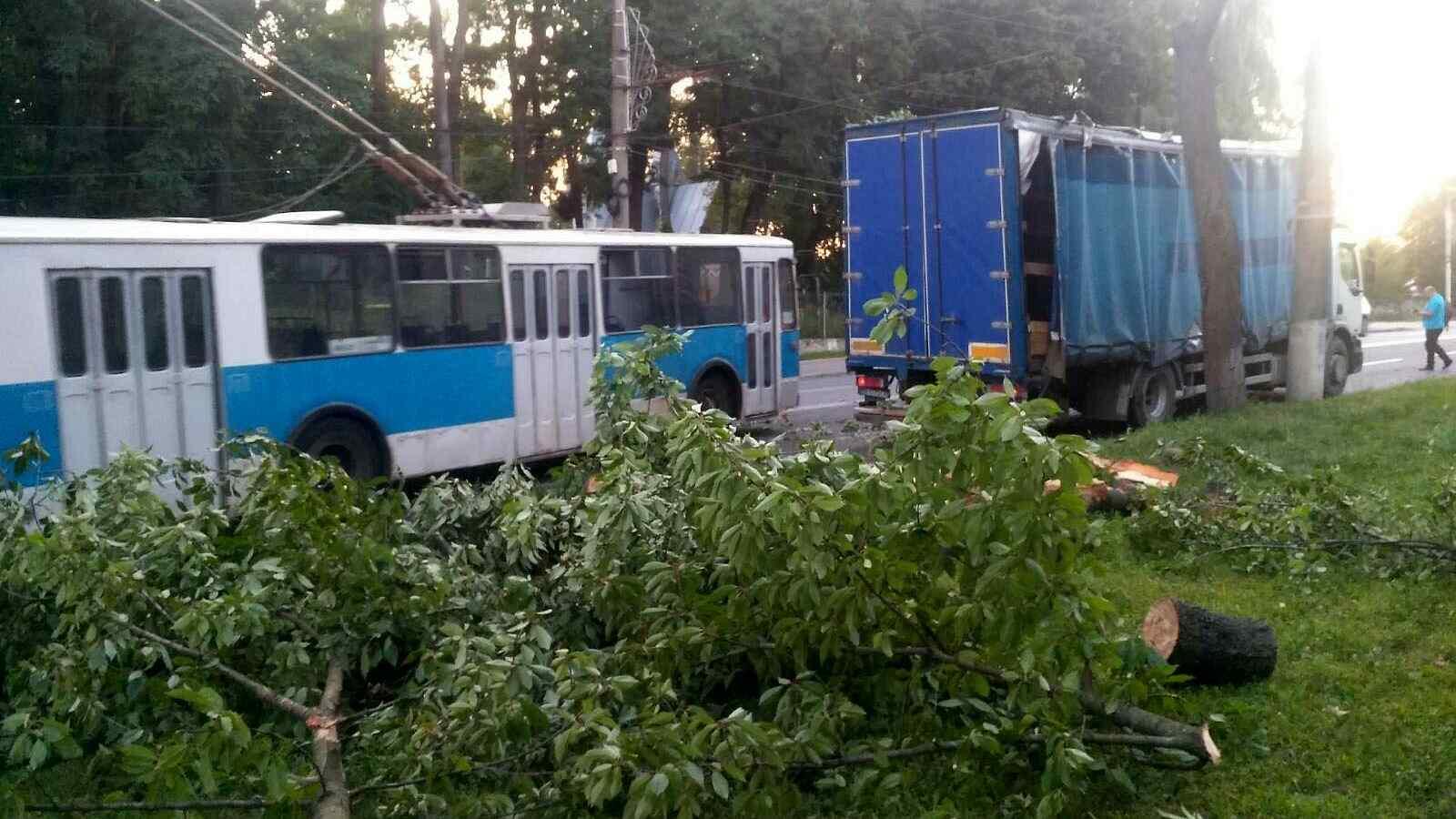 У Вінниці вітер повалив дерево на вантажівку та лінії електропередач