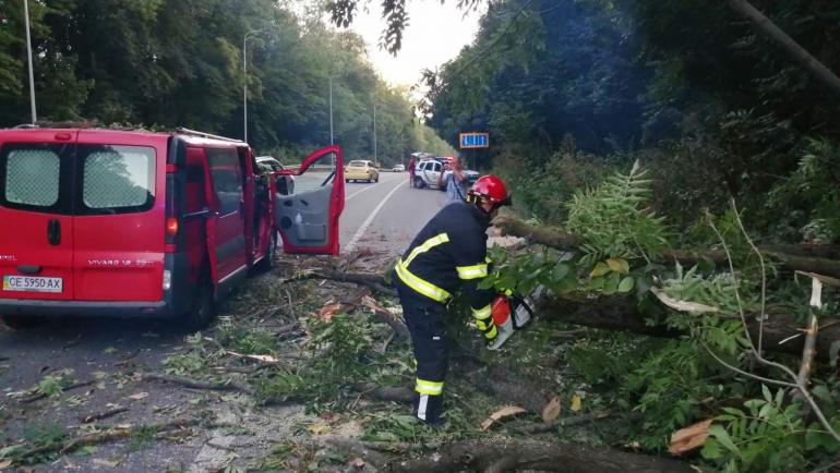 На шосе у Вінниці автівку придавило деревом