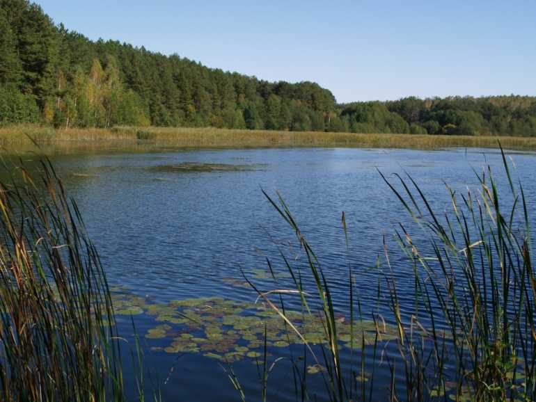 водойма фото