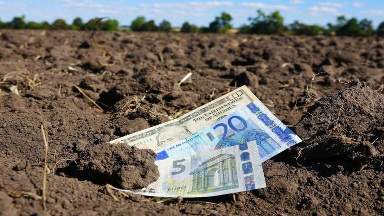 Першими на аукціон можуть піти людські городи і землі запасу