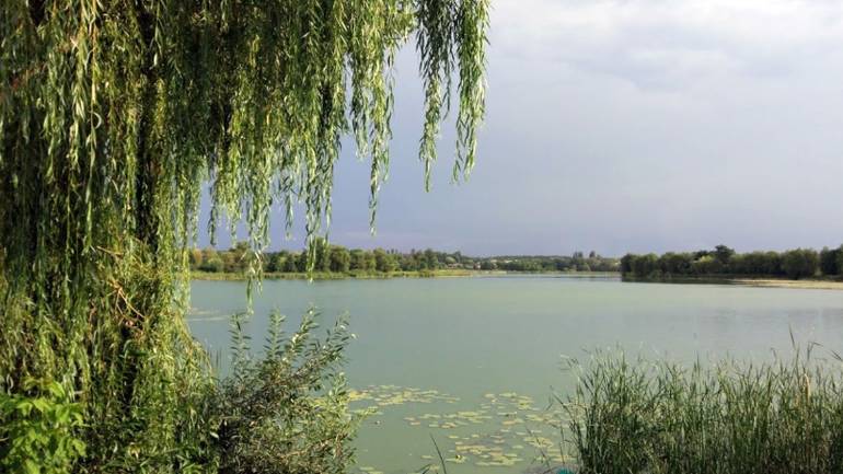 річка Вільшанка на Вінниччині фото
