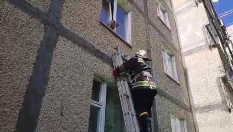У Вінниці врятували кота, який застряг у віконній рамі