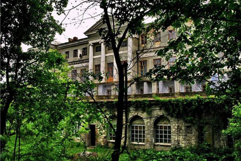 палац у Мурованих Курилівцях фото