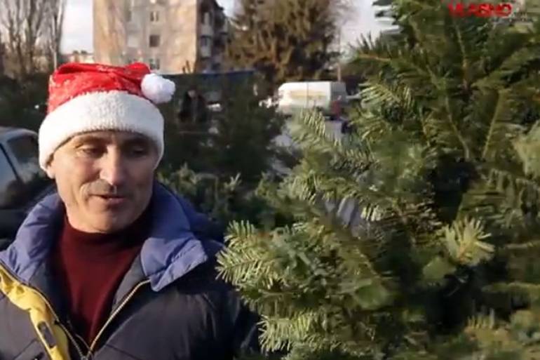 Жива чи штучна новорічна ялинка