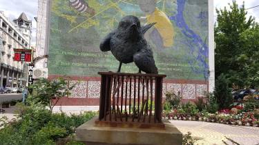 В центральному сквері Києва &laquo;причаїлись&raquo; птахи-інтелігенти