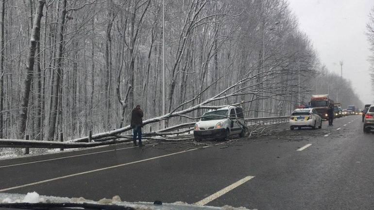 На вінницькій окружній падають дерева на машини