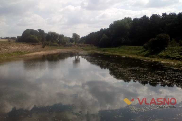ставки в Тростянці фото