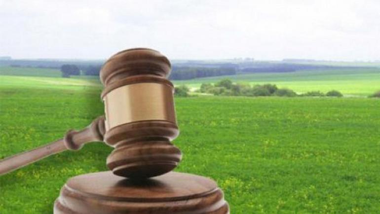 Конфлікт інтересів: на Вінниччині депутат сільради голосував за передачу землі своєму брату