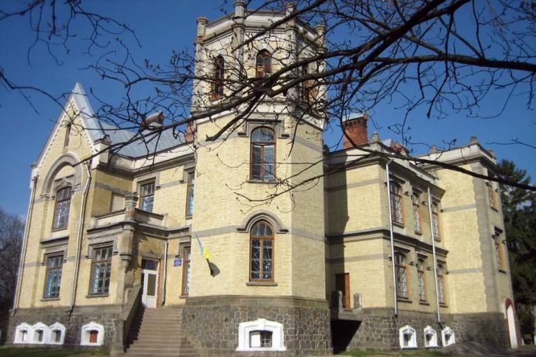 замок у селі Митки на Вінниччині фото