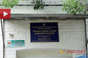 лікарня ветиринарної медицини у Погребищі фото