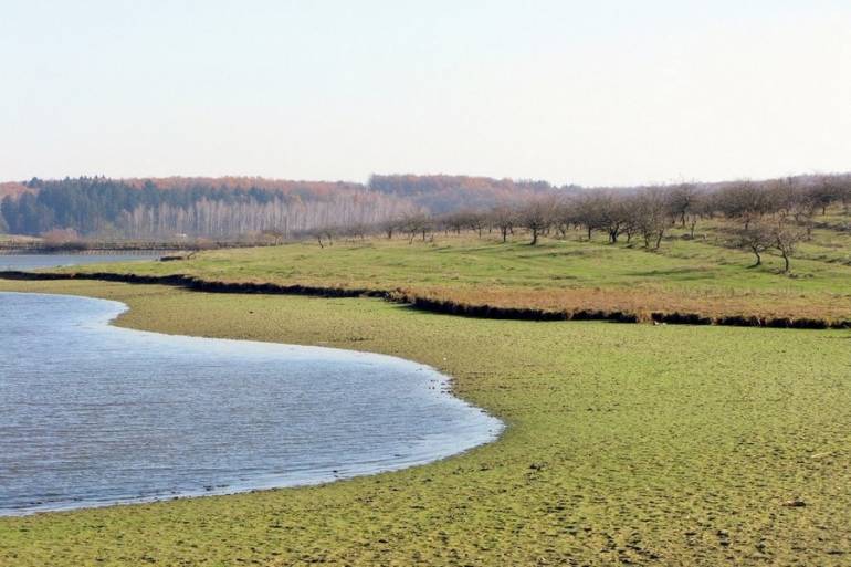  Місячні озера на Мізяківських Хуторах фото