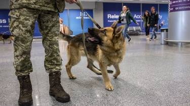 Замінування &laquo;під дощем&raquo; у Вінниці: евакуювали людей з торгових центрів та садочків