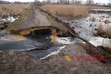 качатник у Вінниці фото