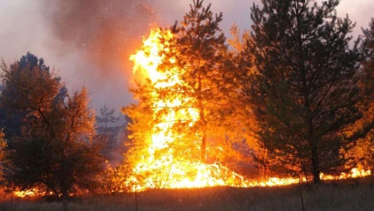 На Донбасі зникли двоє українських бійців