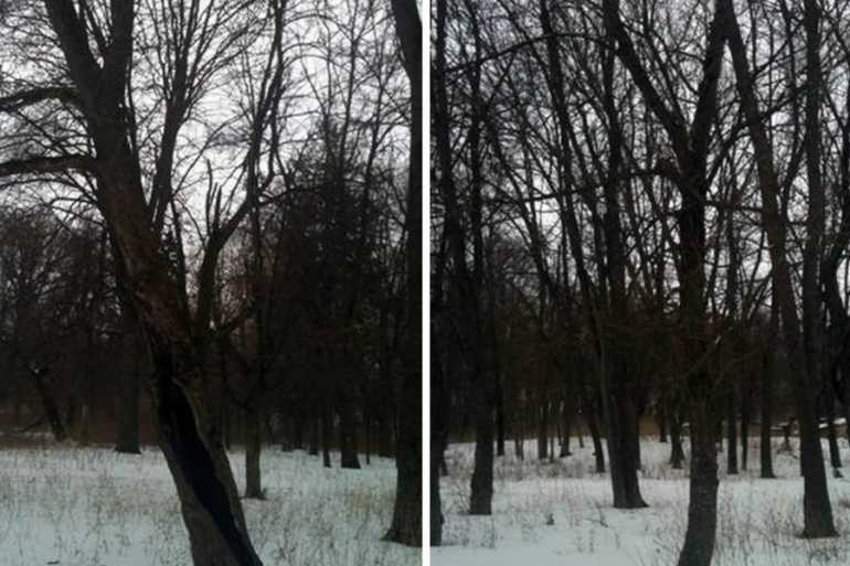 Деребчинський парк фото