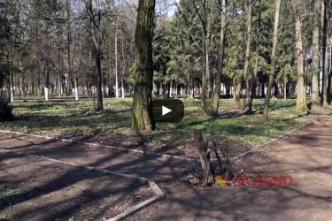 Відпочинок у парку Ющенка можна було завершити у каналізаційному люці 