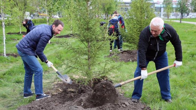 Вінниччан запрошують до посадки лісу &ldquo;Весна &ndash; 2021&rdquo;
