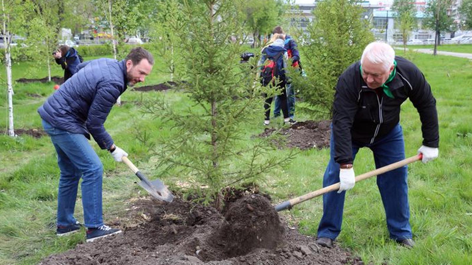 Вінниччан запрошують до посадки лісу &ldquo;Весна &ndash; 2021&rdquo;