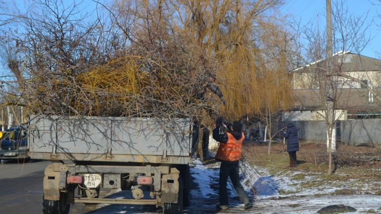 На обрізку та видалення аварійних дерев у Ладижині знову запланували 2,6 мільйони гривень