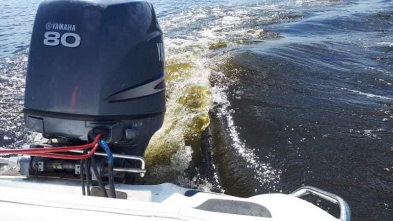 У Південному Бузі поблизу Ладижинської ТЕС виявили викид невідомої речовини