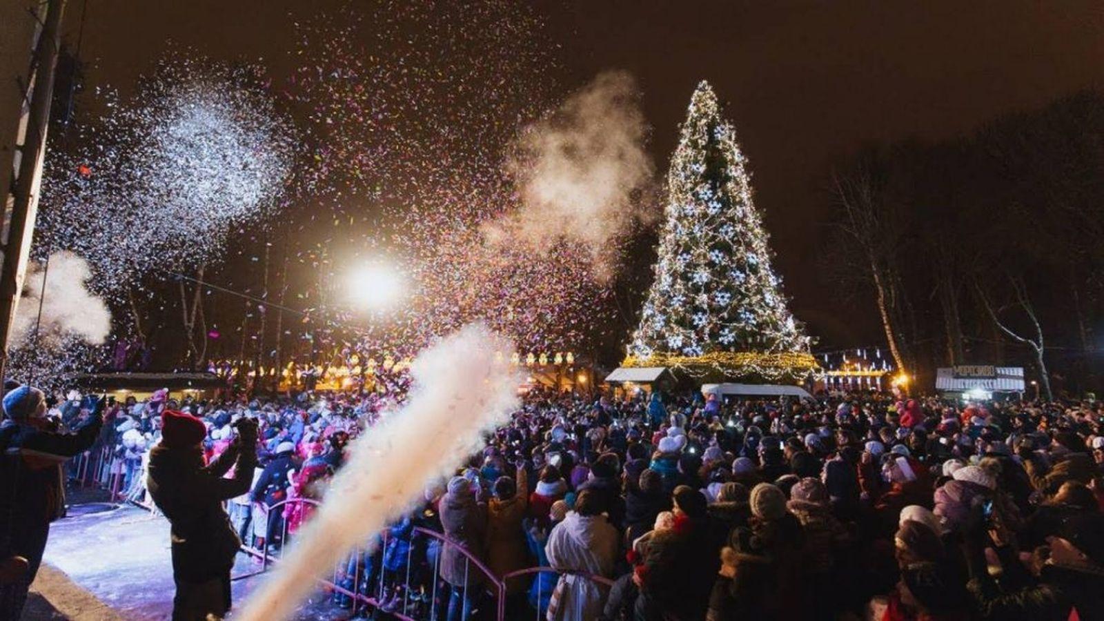 Вінничанка просить місто відмовитись від новорічної ялинки