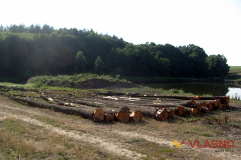 вирубка лісу фото