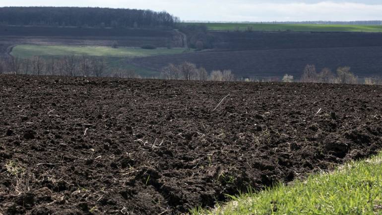 Закон про ринок землі у другому читанні мають розглянути завтра