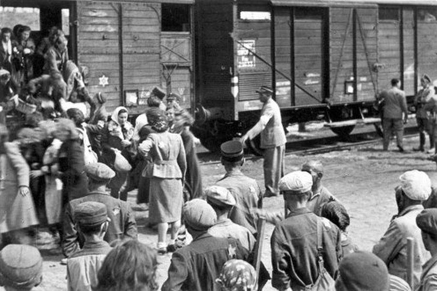 &ldquo;Чечевиця&rdquo; забрала сотні тисяч людських життів 